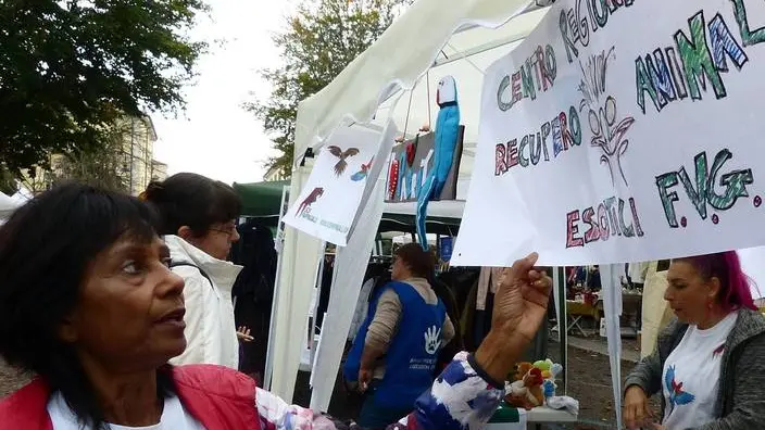 Bumbaca Gorizia 20_10_2019 Gradisca associazione World Animal day ADPA © Foto Pierluigi Bumbaca
