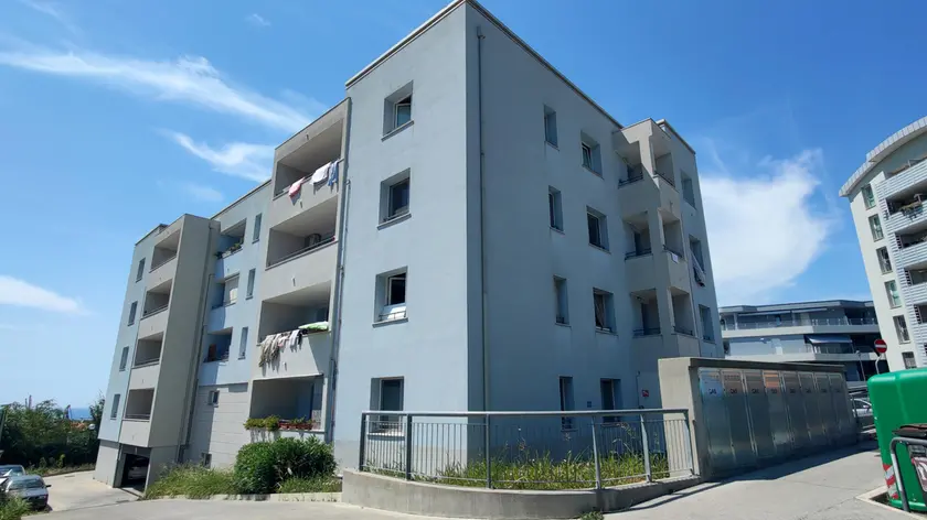 Il condominio dell’Ater in via Costalunga 3 in cui si verifica l’infestazione Foto Andrea Lasorte