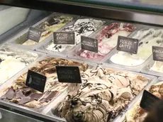 Vaschette di gelato