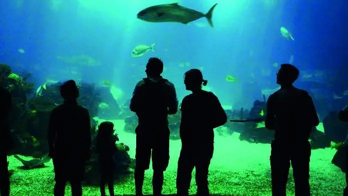 Lasorte Trieste 04/07/09 - Portogallo, Lisbona , Oceanario