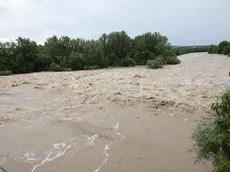 L’acqua dell’Isonzo venerdì 4 agosto 2023. Foto Bumbaca