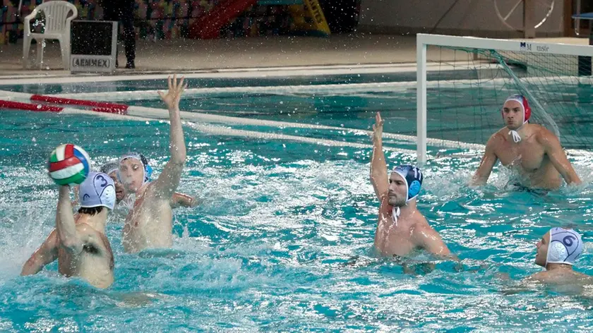 Silvano Trieste 25/11/2017 Piscina Bianchi, Pallanuoto Trieste - AN Brescia