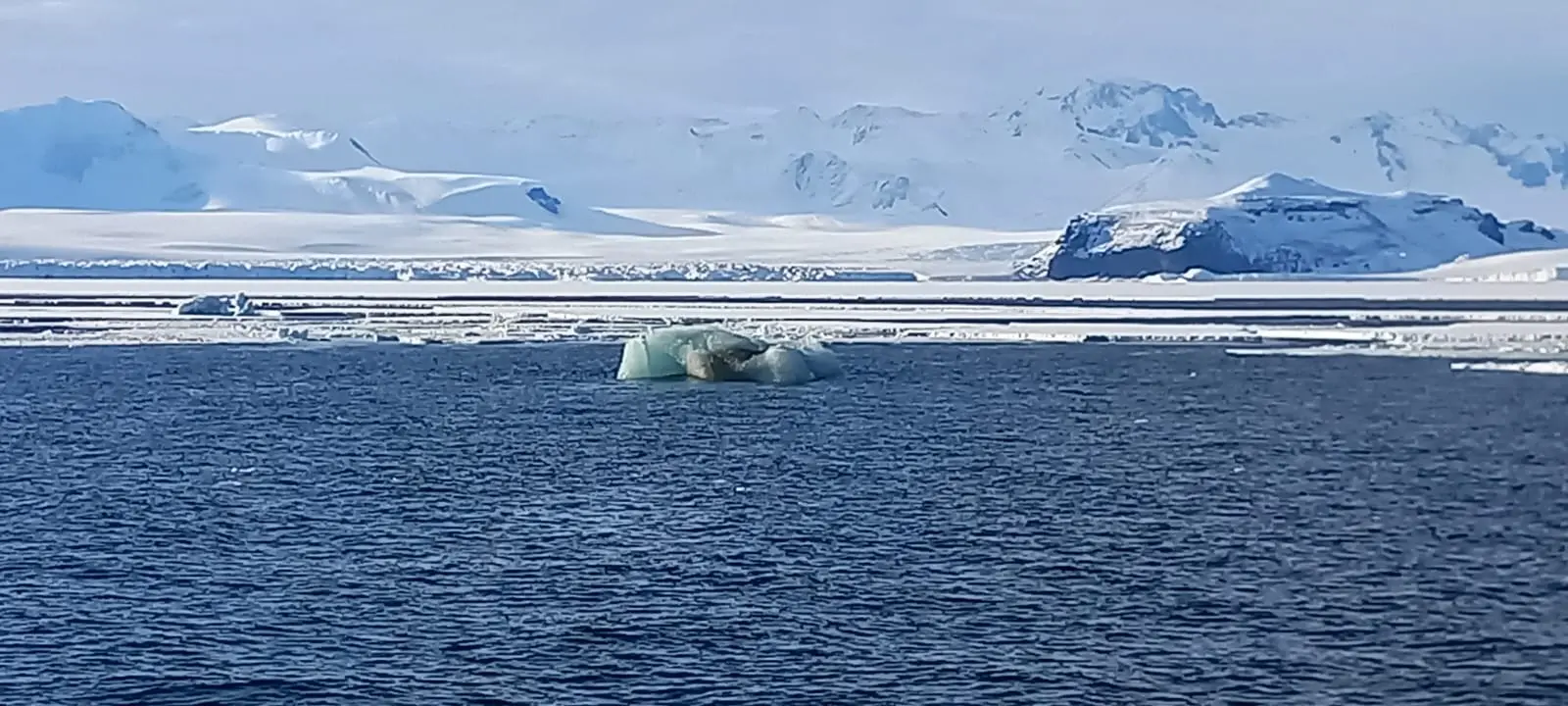 Una foto scattata durante il viaggio della Laura Bassi