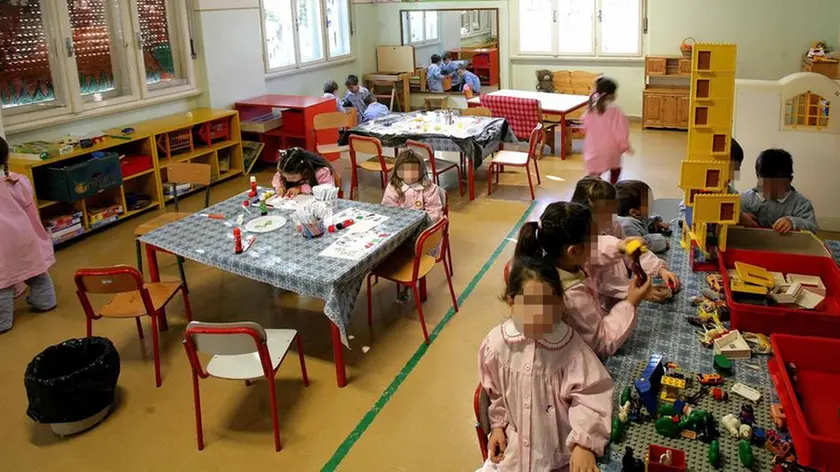 sterle trieste asilo bubnic muggia