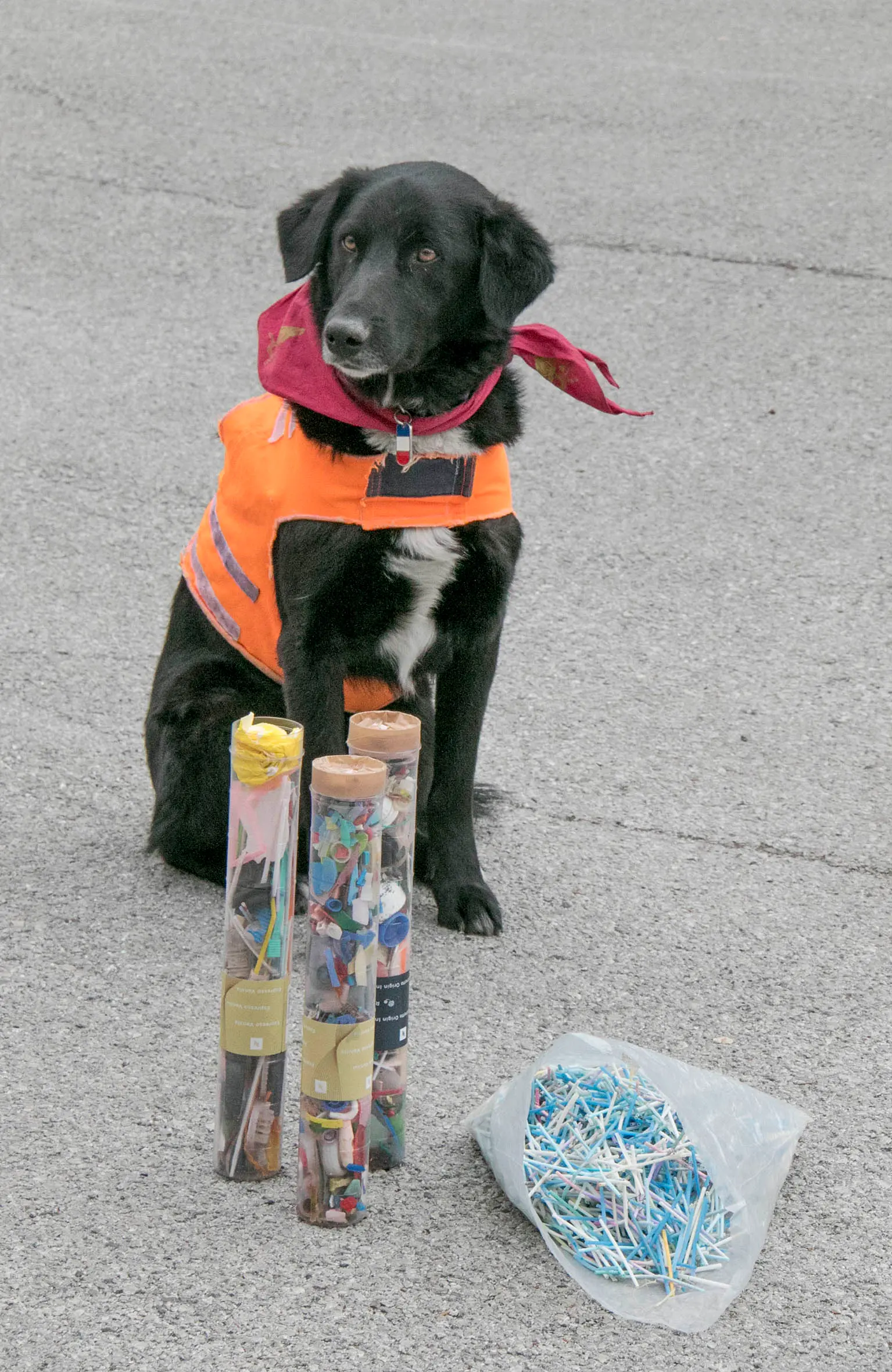 Bonaventura Monfalcone-13.04.2019 Giro del mondo in bicicletta di Martin Hutchinson e Starsky-Caserma di vigili del fuoco-Monfalcone-foto di Katia Bonaventura