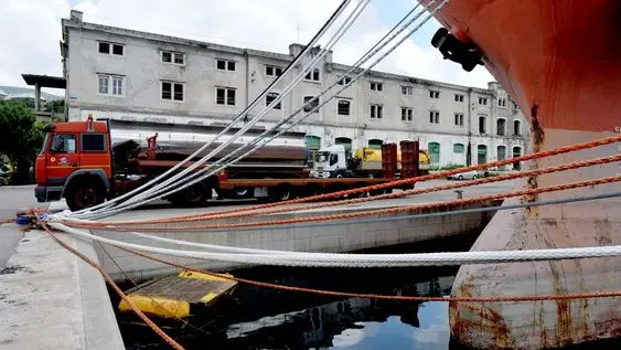 Foto BRUNI TRieste 18 06 10 Crismani Sea:azienda service per la pulizia in mare e altro-tronchi e altro ripescato in mare