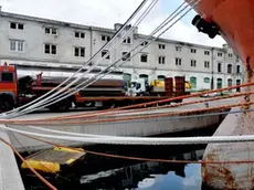 Foto BRUNI TRieste 18 06 10 Crismani Sea:azienda service per la pulizia in mare e altro-tronchi e altro ripescato in mare