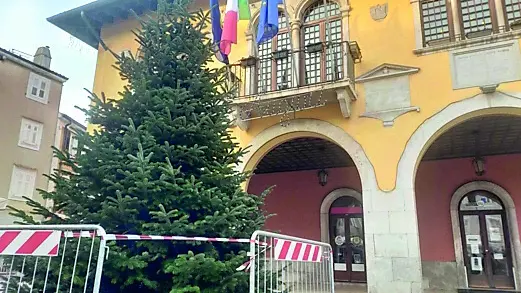 L’albero di Natale allestito in piazza a Muggia per le festività