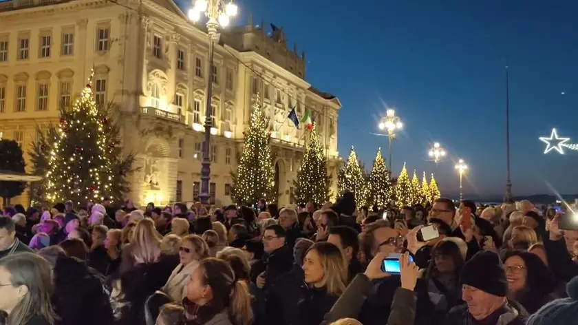 Gli alberi illuminati nella cerimonia del via alle festività natalizue a Trieste Foto Andrea Lasorte