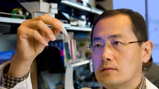 Shinya Yamanaka, "papà" delle cellule staminali