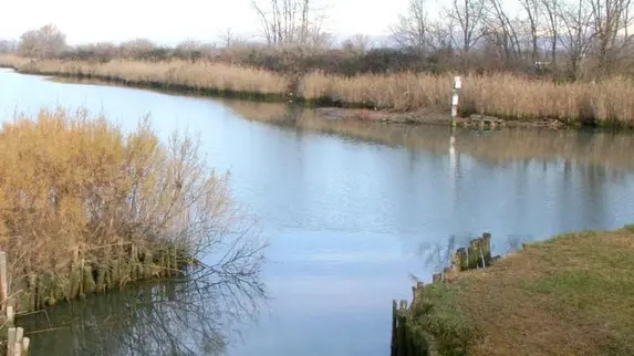 Altran Isola Morosini-Isonzato