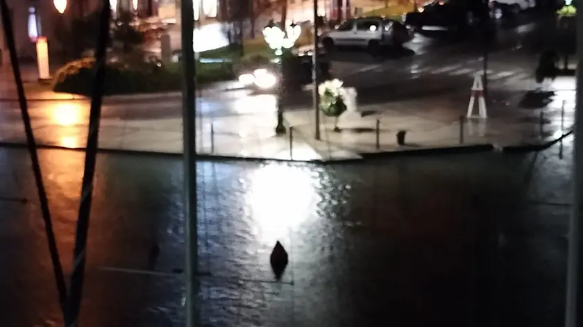 Il livello dell’acqua a pelo in porto a Grado registrato alle 19.30