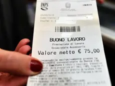 Un' immagine di un voucher, Roma, 11 gennaio 2017. I voucher sono dei buoni lavoro erogati dall'Inps con cui il datore di lavoro puo' pagare alcuni tipi di prestazioni accessorie, cioe' che non sono riconducibili a contratti di lavoro in quanto svolte in modo saltuario. ANSA / ETTORE FERRARI