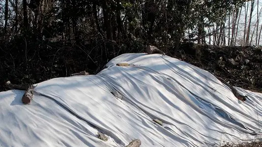 Silvano Trieste 20/02/2017 La zona del Termovalorizzatore