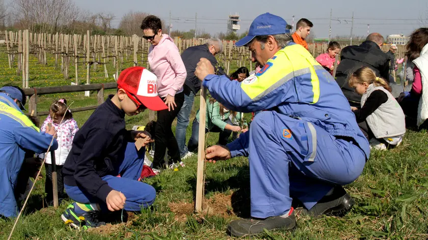 Bonaventura Monfalcone-25.03.2017 Festa degli alberi-Laghetti di Dobia-Ronchi dei Legionari-foto di Katia Bonaventura