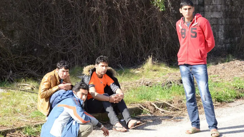 Udine 01 Marzo 2016 ambulatorio alla cavarzerani Petrussi Foto Turco Massimo