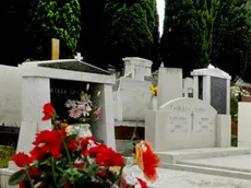 Lasorte Trieste 13 02 04 - Muggia - Cimitero -