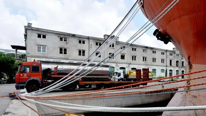 Foto BRUNI TRieste 18 06 10 Crismani Sea:azienda service per la pulizia in mare e altro-tronchi e altro ripescato in mare