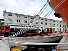 Foto BRUNI TRieste 18 06 10 Crismani Sea:azienda service per la pulizia in mare e altro-tronchi e altro ripescato in mare