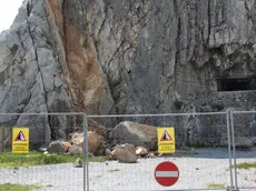 Lasorte Trieste 12/06/13 - Sistiana, Caravella, Frana, Caduta Massi