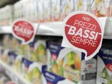 Lasorte Trieste 01/07/15 - Torri d'Europa, Nuovo Supermercato Ipercoop, Coop NordEst