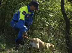 Bumbaca Gorizia Ricerche resti umani a Doberdò