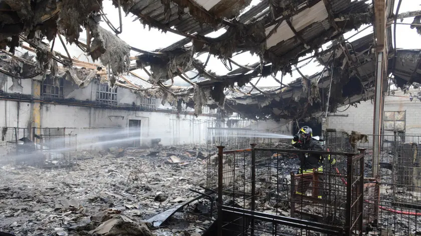 Aiello 30 Novembre 2014 incendio ex da.ta Telefoto copyright Petrussi Foto Press TURCO