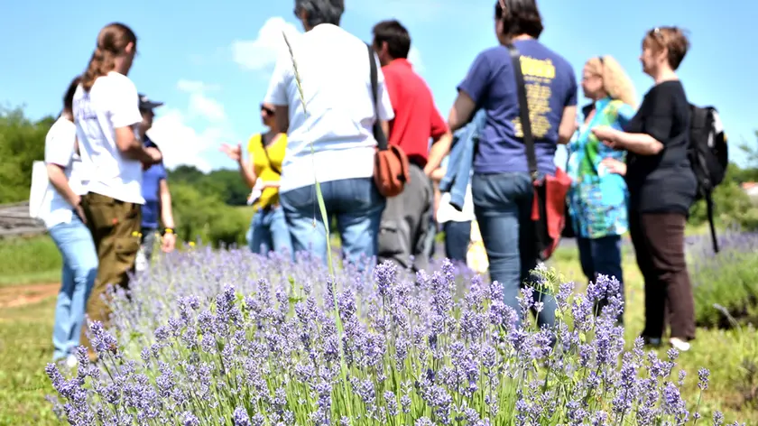 Una passeggiata sul Carso