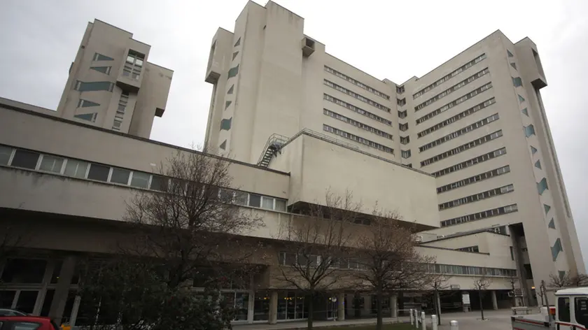 Lasorte Trieste 17/01/13 - Ospedale di Cattinara, Direzione, Conferenza Stampa