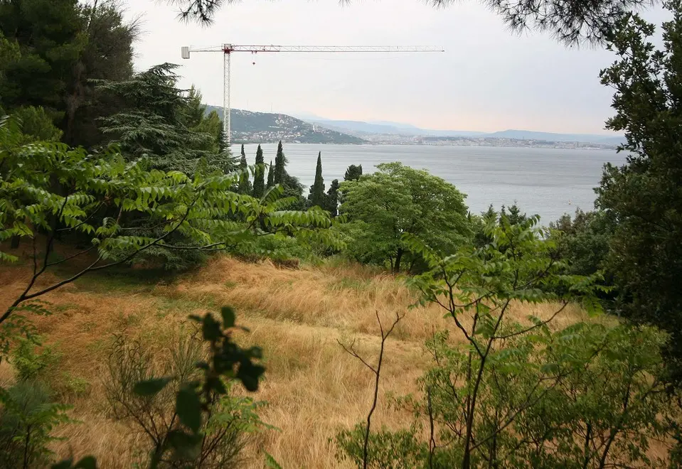 Lasorte Trieste 01/08/06 - Miaramare - Villa Hausbrandt - Parco