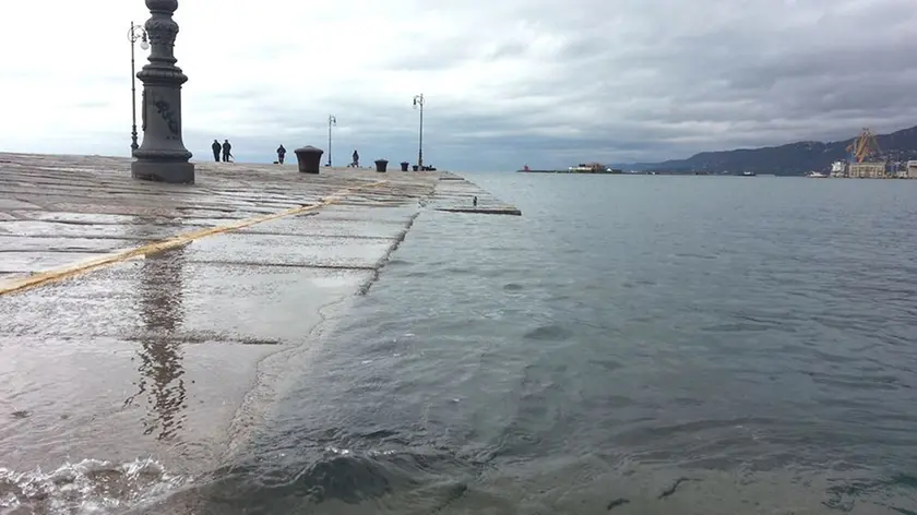 Acqua alta a Trieste