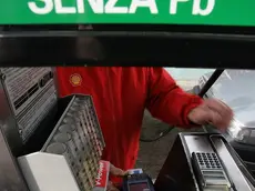 sterle trieste le primew cariche di benzina agevolata code ai benzinai