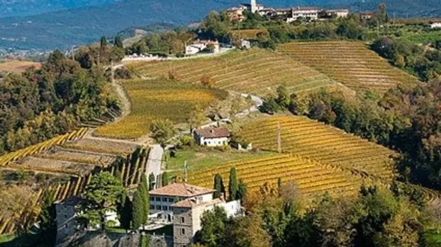 Panorama del Collio in una foto d'archivio