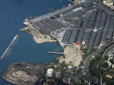 sterle trieste discarica disposta sotto sequestro zona ferriera