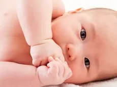 24 Dec 2014 --- Baby boy lying down on side and looking at the camera --- Image by © IMAGEMORE M/Imagemore Co., Ltd./Corbis