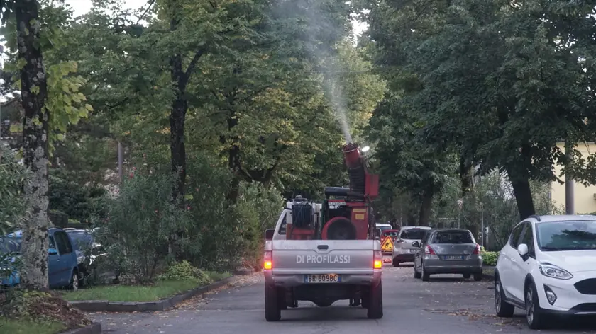 Disinfestazioni in corso a Gorizia (foto Marega)