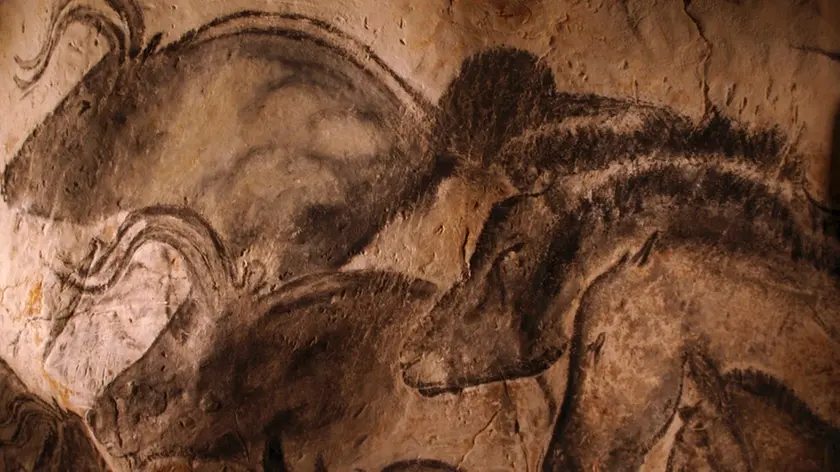 06 Jun 2011, France --- Stone-age cave paintings. Artwork depicting various animals painted on the wall of a cave. These paintings are found in the Chauvet Cave, France, the site of the earliest known cave paintings (as of 2011), which have been dated to between 32,900 and 30,000 years ago. --- Image by © Javier Trueba Rodriguez/ /Science Photo Library/Corbis