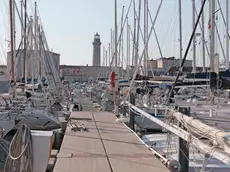 Silvano Trieste 2018-07-19 Societa' Triestina della Vela