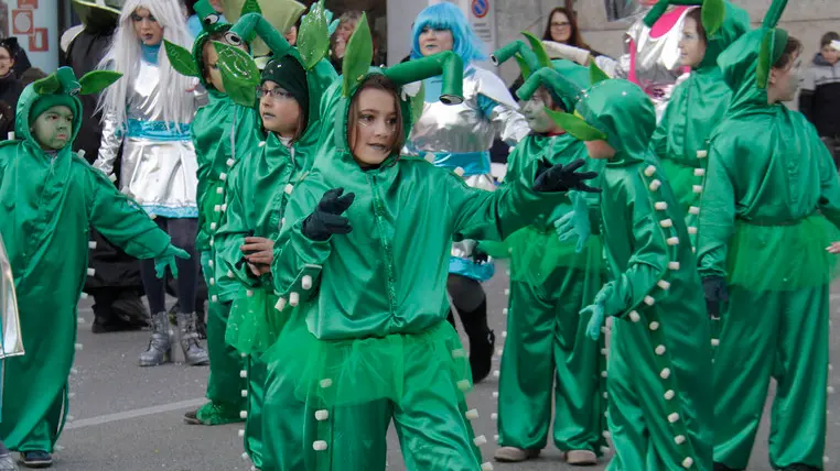 Bonaventura Monfalcone-06.02.2016 Sfilata di carnevale-Secondi arrivati-Ronchi dei Legionari-foto di Katia Bonaventura