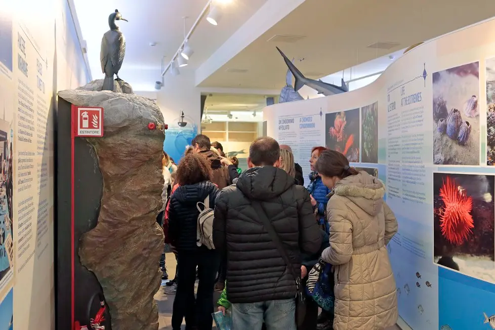 Silvano Trieste 2018-03-10 Apertura al pubblico BioMa