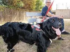 Un’anziana di San Michele del Carso con il suo cane a Savogna