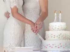 Two brides cutting wedding cake --- Image by © Ron Royals/Corbis