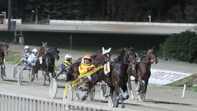 Lasorte Trieste 20/11/10 - Ippodromo Montebello, Gran Premio Regione FVG