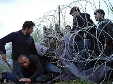 Profughi siriani al confine con l'Ungheria.ANSA/AP Photo/Bela Szandelszky)