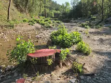 La Val Rosandra dopo lo "sfalcio" del 2012