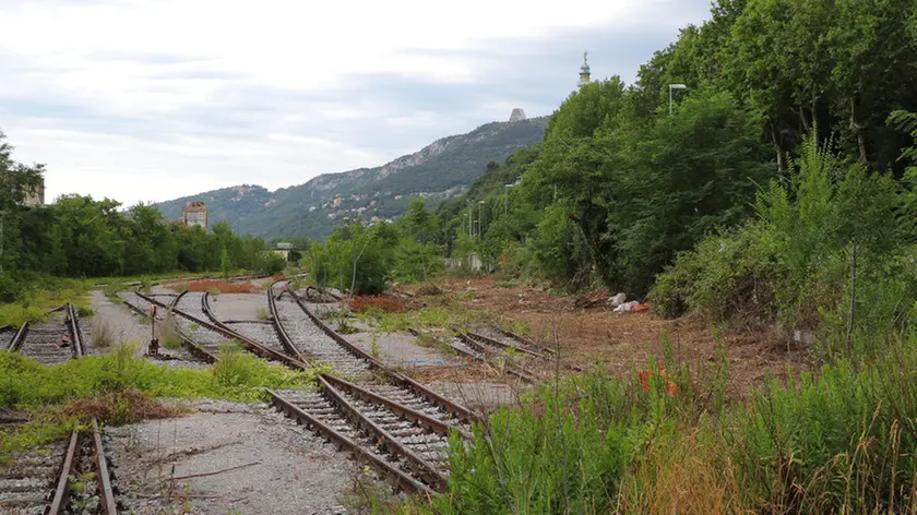 Lasorte Trieste 30/06/17 - Viale Miramare, Area Terrapieno, Ferrovia, Taglio Arbusti