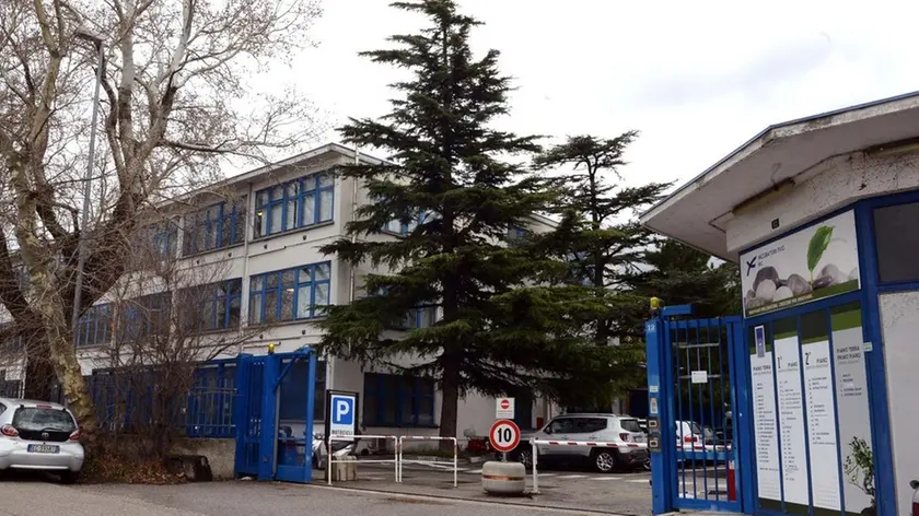 La sede di Bic Incubatori Fvg in via Flavia (Foto Bruni)