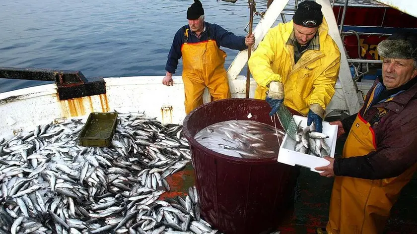 Pescatori nell'Adriatico