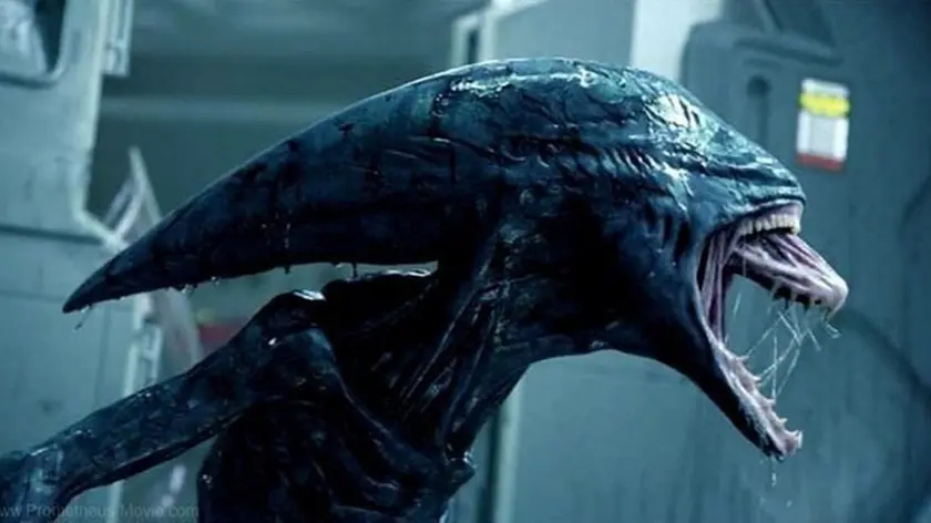 Una scena di "Alien" di Ridley Scott