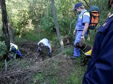 sterle trieste continuano le ricerche sul carso sona medeazza
